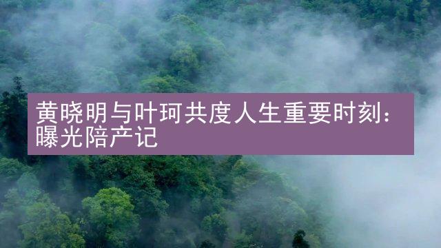 黄晓明与叶珂共度人生重要时刻：曝光陪产记